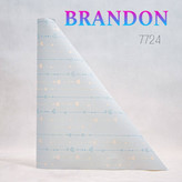 آلبوم برندون