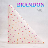 آلبوم برندون