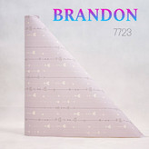 آلبوم برندون