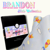 آلبوم برندون