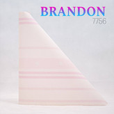 آلبوم برندون