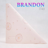 آلبوم برندون