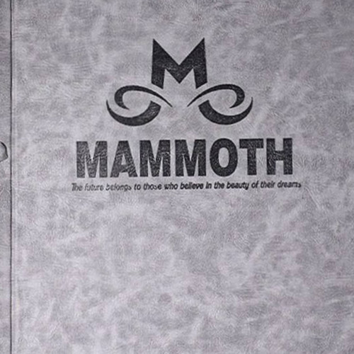 آلبوم کاغذدیوای ماموت