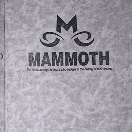 آلبوم کاغذدیوای ماموت