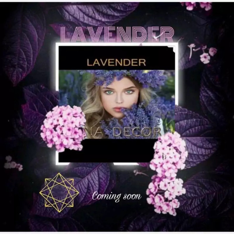 آلبوم کاغذدیواری لوندر Lavender